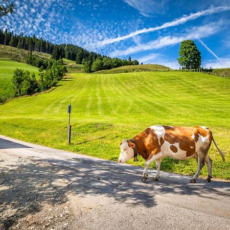 Bauernhaus Bichl Sankt Johann im Pongau Exterior foto