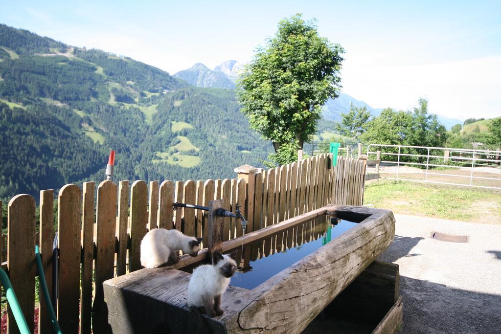Bauernhaus Bichl Sankt Johann im Pongau Exterior foto